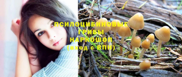 скорость Гусь-Хрустальный