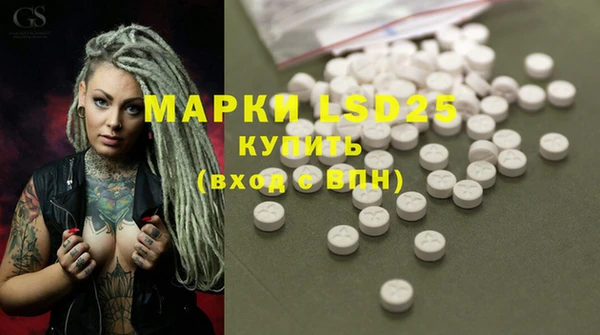 ПСИЛОЦИБИНОВЫЕ ГРИБЫ Гусиноозёрск