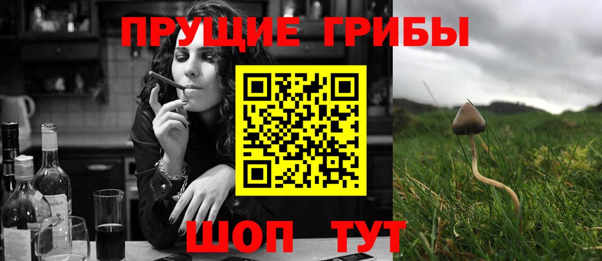 Псилоцибиновые грибы Psilocybe  Вход с VPN  Джанкой 
